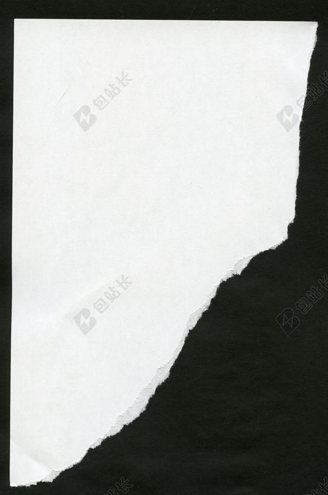 纸 撕裂 眼泪 叶