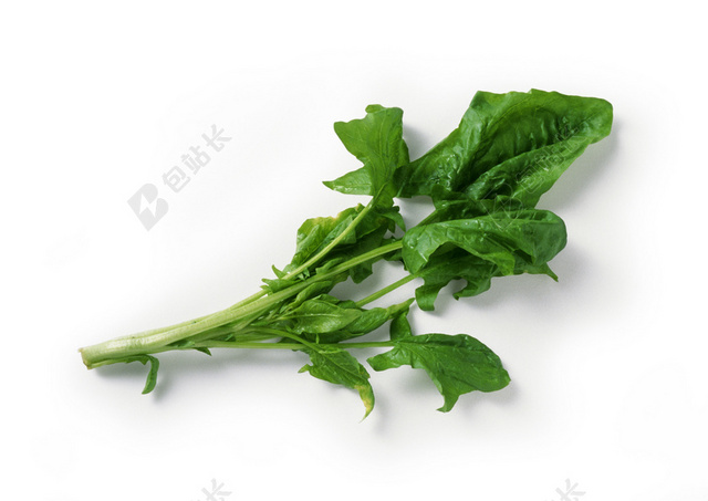海报背景菠菜蔬菜