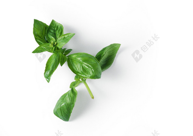 蔬菜空心菜海报背景