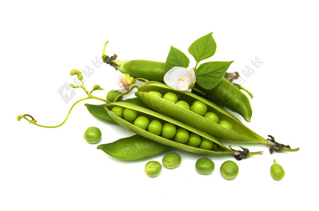 蔬菜豌豆豌豆花海报背景