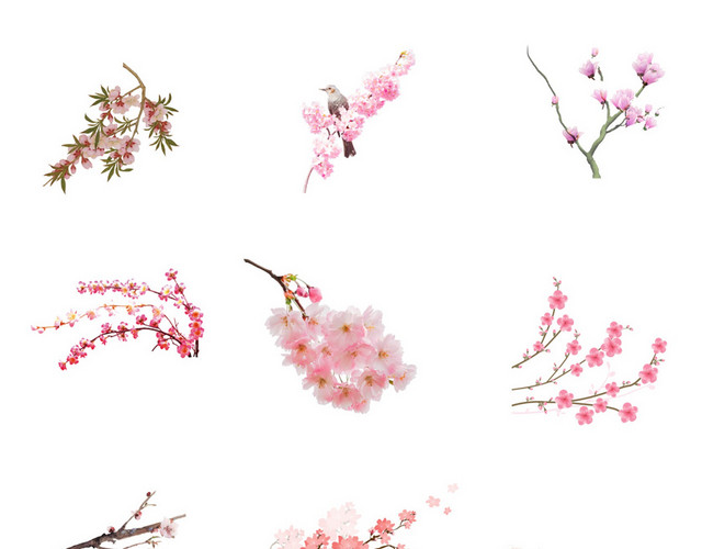 春天桃花素材
