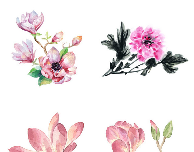 春天玉兰花素材
