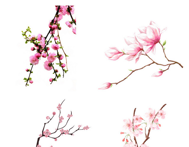 春天桃花素材