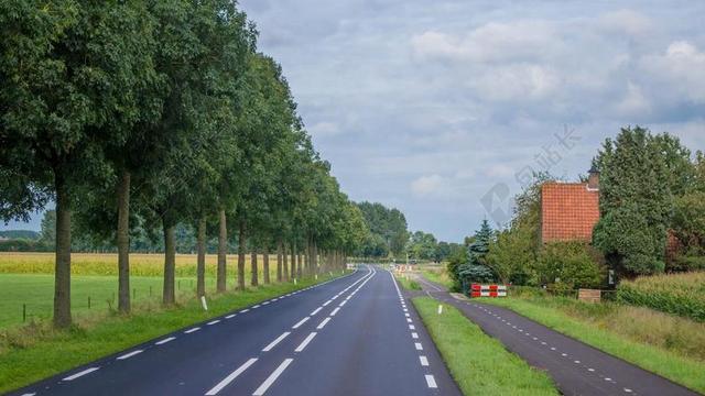 荷兰 路 国家 景观 性质 夏季 村 农村 城际 一个小镇
