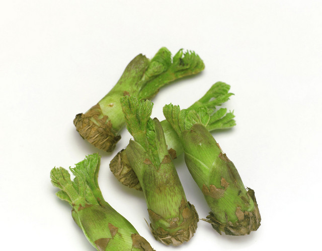 蔬菜竹笋素材