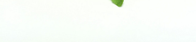蔬菜西洋菜素材