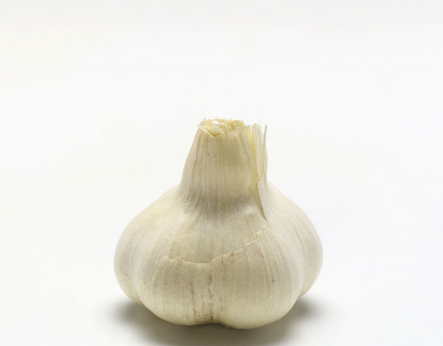蔬菜大蒜素材