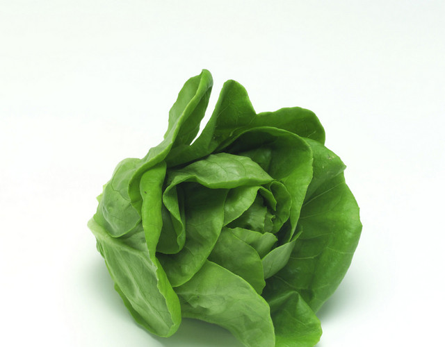 蔬菜青菜素材