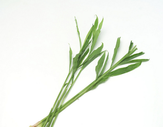 蔬菜姜苗素材