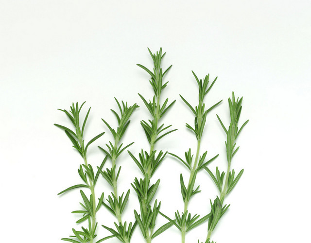 蔬菜迷迭香素材