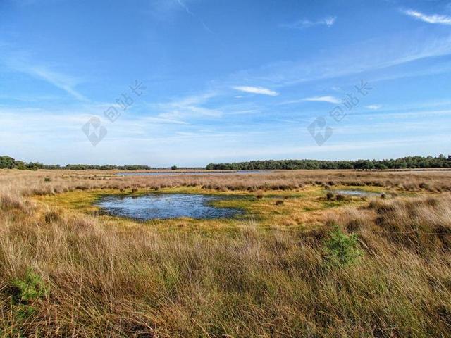 旅游自然荷兰湿地公园背景图片