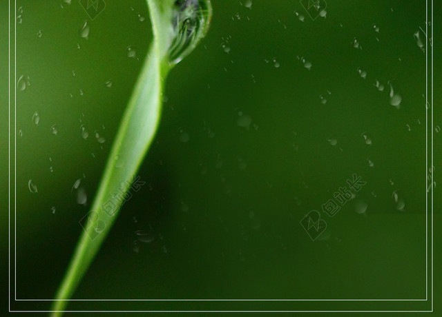 水滴传统节日绿叶二十四节气雨水雨滴清新绿色海报背景