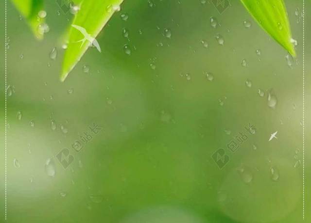 竹叶雨滴绿色传统节日雨水海报背景二十四节气清新