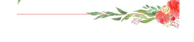 玫瑰花边框素材