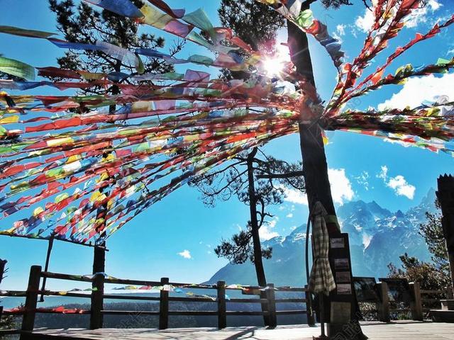 玉龙雪山 天空 阳光 中国丰富多彩 希望 传统的树 装饰