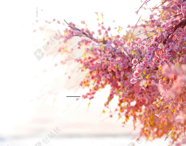 湖水樱花粉色中国风樱花节旅游宣传2019海报背景