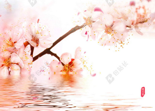 湖水樱花粉色中国风樱花节旅游宣传2019海报背景