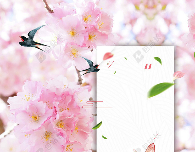 蝴蝶燕子中国风粉色樱花节旅游宣传2019海报背景