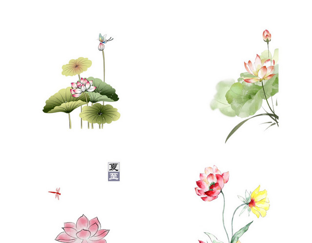 立夏夏天荷花素材