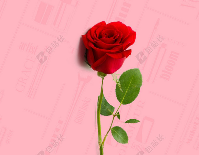 鲜花红唇底纹38妇女节女神节节日促销后粉色海报背景