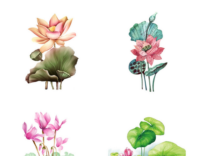 立夏夏天荷花素材