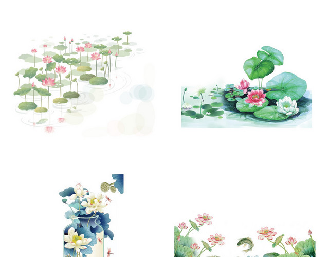 立夏夏天荷花素材