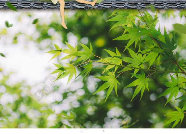 清新绿叶卡通少女二十四节气春分传统节日H5海报背景