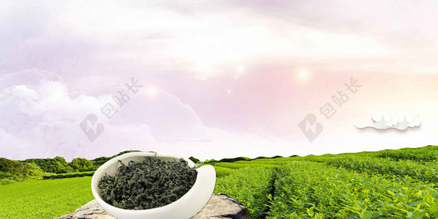 茶树黑茶春茶宣传促销茶叶新品上新