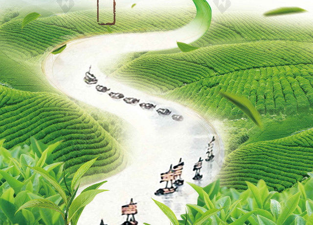 小船茶山春茶宣传促销茶叶新品上新