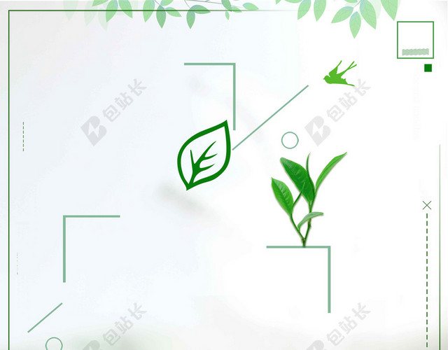 玻璃杯茶叶春茶宣传促销茶叶新品上新