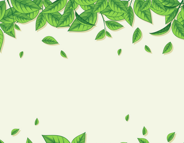 清明节茶叶植物