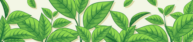 清明节茶叶植物