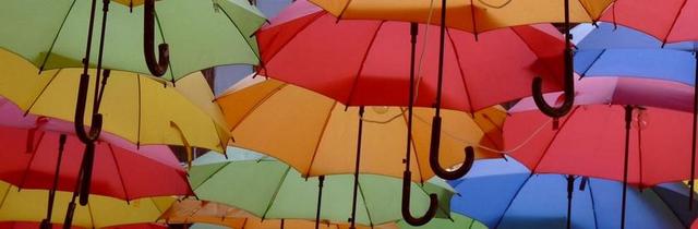 雨伞 丰富多彩 屏幕 颜色 树荫下树 阳伞 阳光 半透明 雨