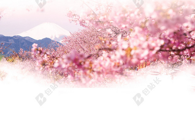实景富士山樱花透视樱花节旅游宣传粉色海报背景