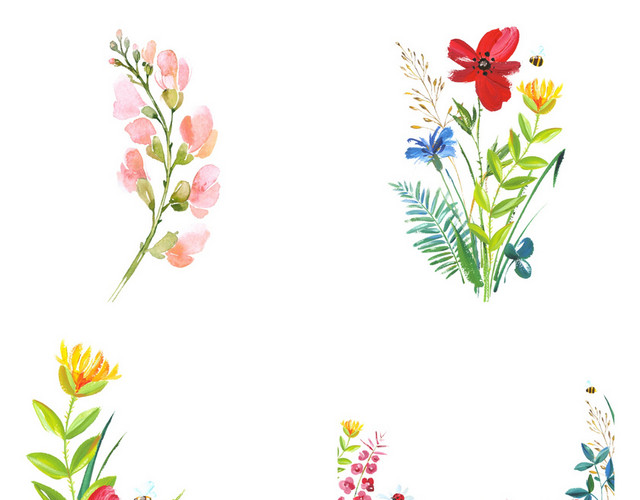 手绘鲜花
