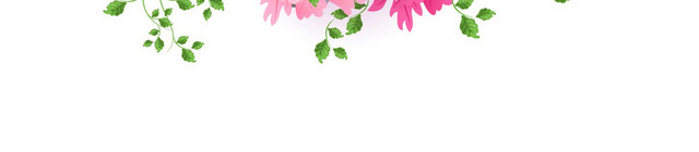 鲜花边框花朵花束 3月8日妇女节花卉素材