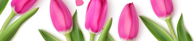 鲜花边框花朵花束3月8日妇女节素材
