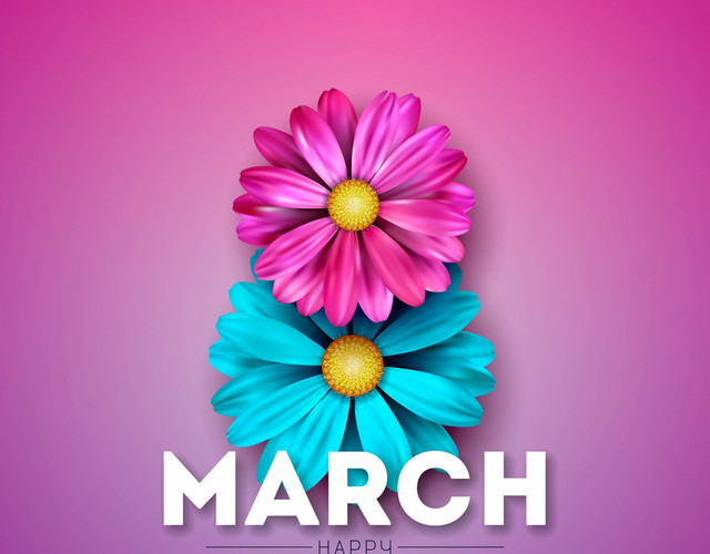 鲜花边框花束3月8日妇女节节日素材