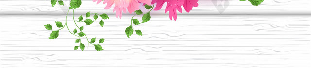 浪漫唯美清新花朵插画38妇女节女神节节日促销背景素材