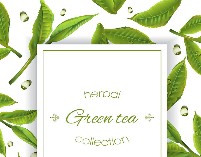 茶具茶杯茶壶茶文化设计简约清新绿叶素材