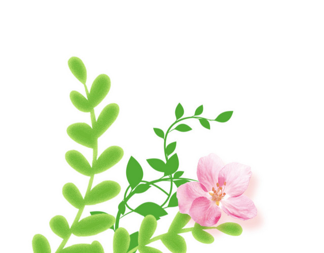 植物花朵青草