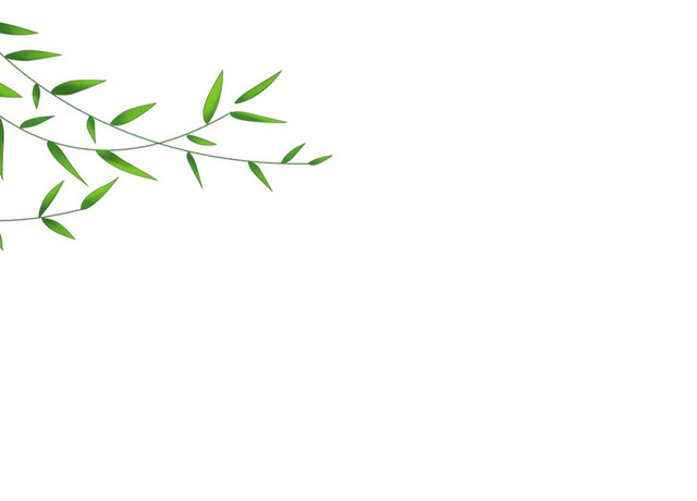 柳树叶免扣素材