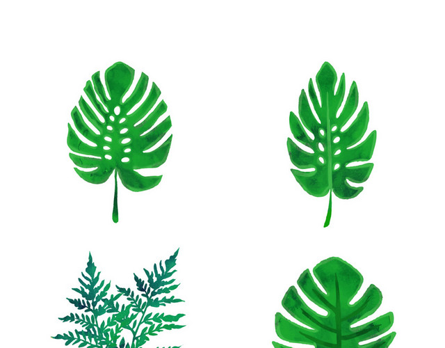 手绘夏日绿植树叶春天春季绿叶植物