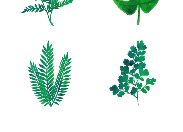 手绘夏日绿植树叶春天春季绿叶植物