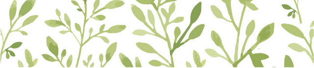 手绘夏日绿植树叶春天春季绿叶植物