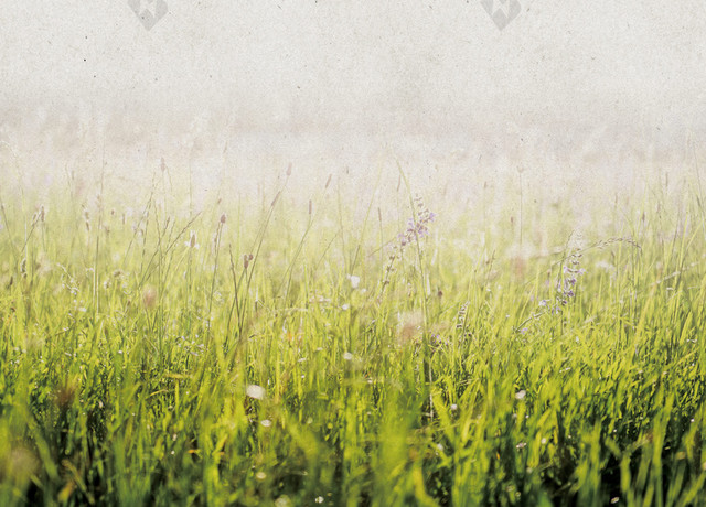 种瓜点豆谷雨传统节日二十四节气灰色背景海报