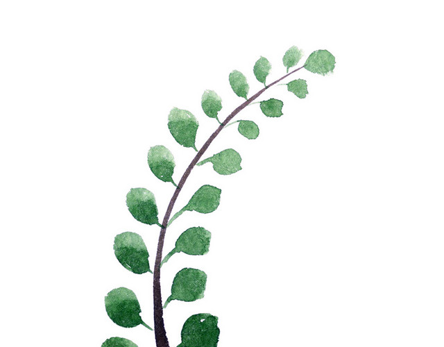 春季节日水彩手绘植物树叶文艺绿树叶春天春季绿叶植物