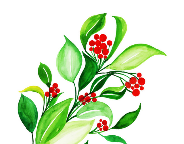 手绘夏日绿植树叶春天春季绿叶植物