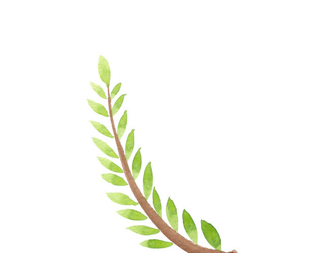 手绘夏日绿植树叶春天春季绿叶植物