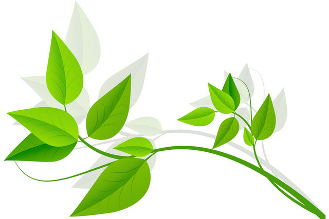 春季节日水彩手绘植物树叶文艺绿